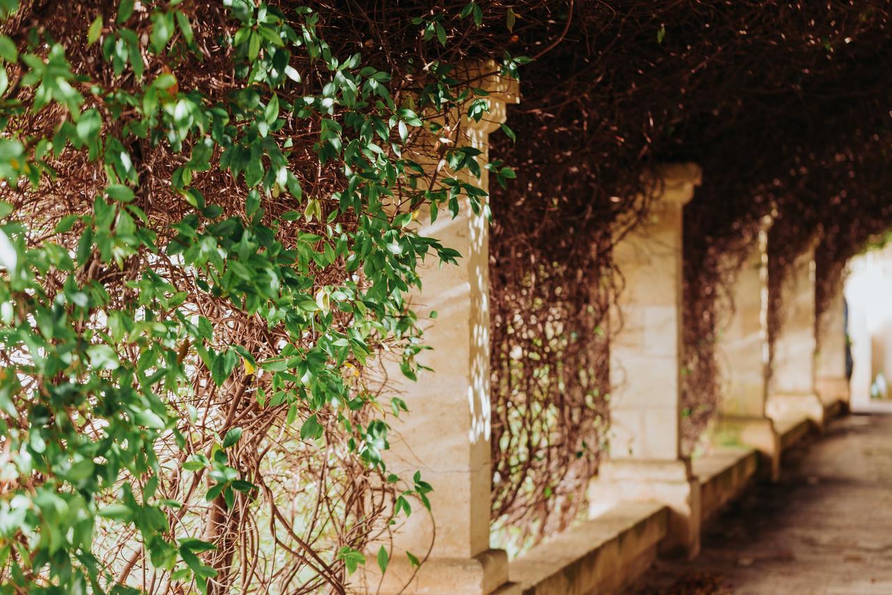 Masseria Ancella Montalbano  Dış mekan fotoğraf